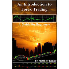 A Beginner's Guide to Forex Trading